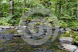 River SaidÃâ flows in the Neris Regional Park in Lithuania. photo